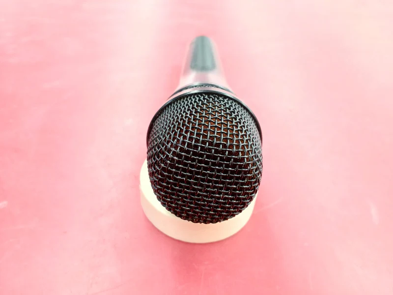 SENNHEISER Dynamisches Mikrofon E835S