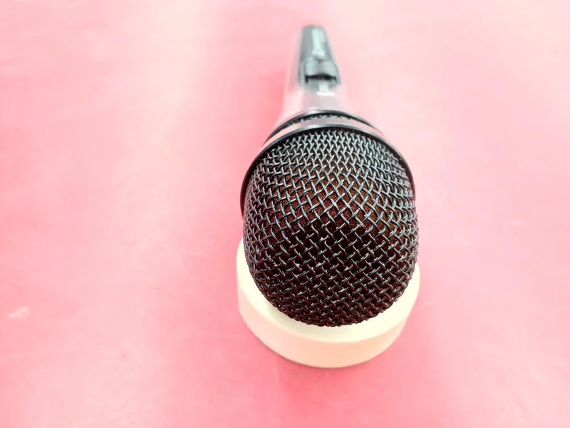SENNHEISER Dynamisches Mikrofon E835S