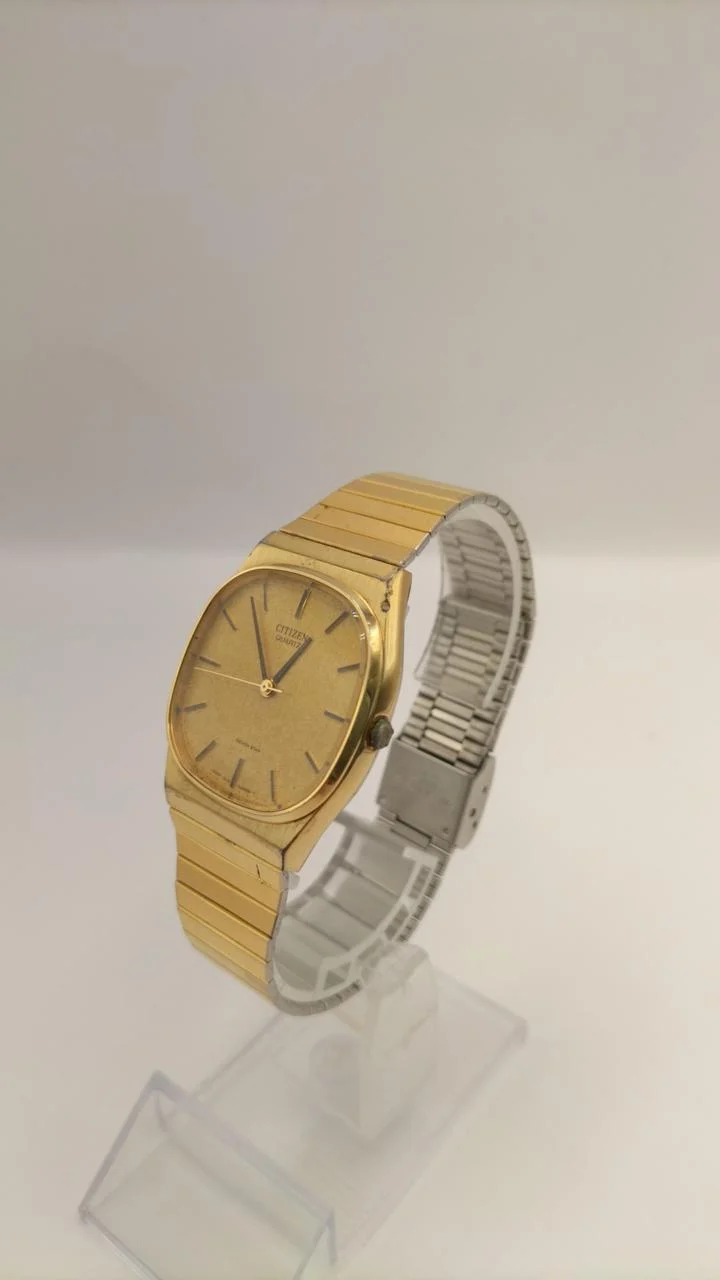 CITIZEN Armbanduhr 2030-204387