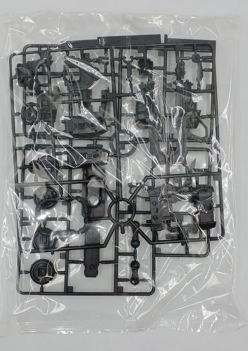 BANDAI Gundam SEED MG Blaze Zaku Phantom / Blaze Zaku Warrior