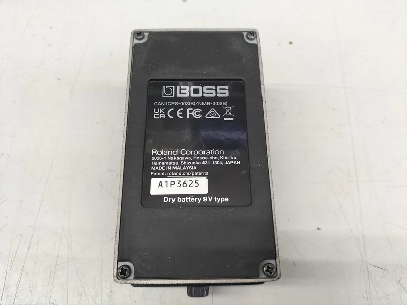 BOSS Space Echo RE-2