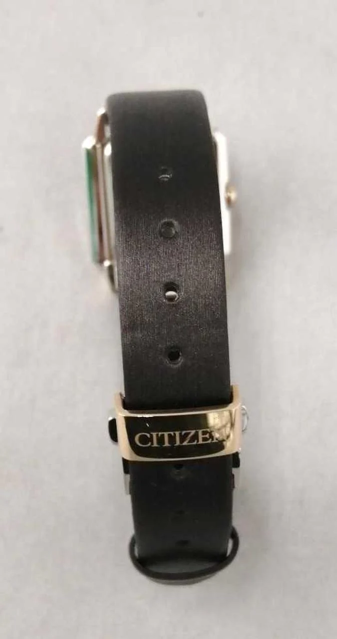 CITIZEN CITIZEN ECO-DRIVE EG7068-16D