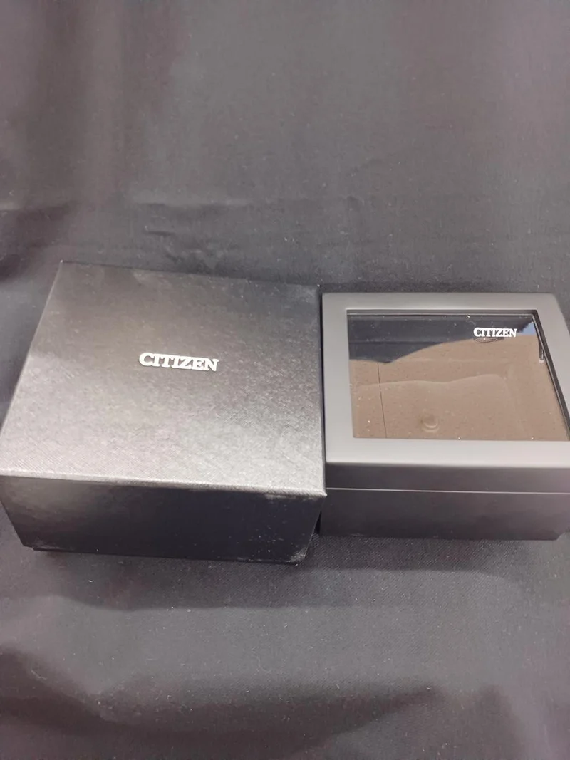 CITIZEN THE CITIZEN AQ4060-50A