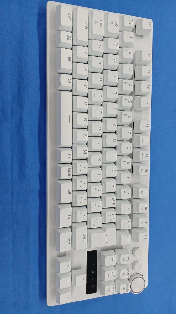 RAZER Gaming-Tastatur RZ03-0498
