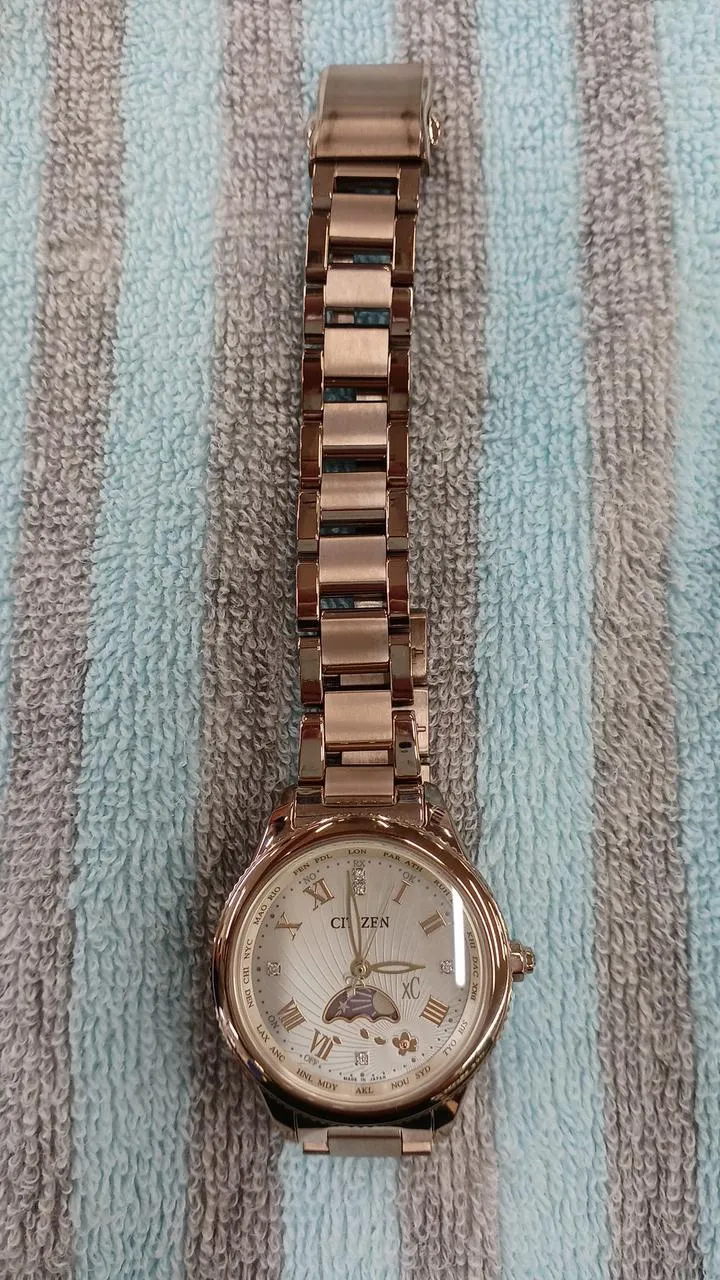 CITIZEN Armbanduhr H296-T027121