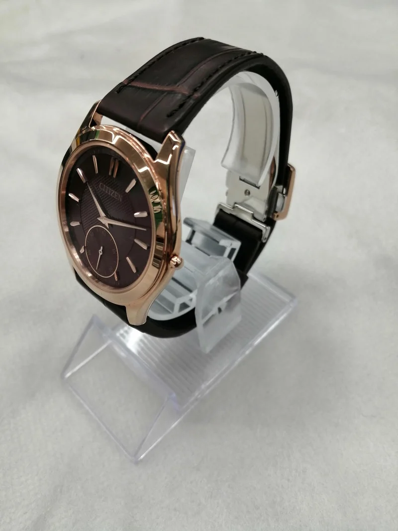 CITIZEN Limitierte Auflage von 200 Solar-Armbanduhren AQ5012-14W/8845-A5VHS03