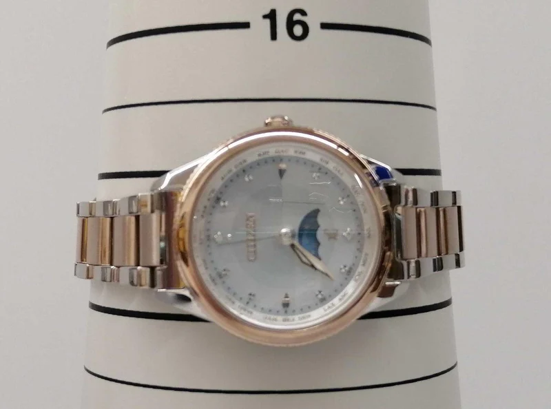 CITIZEN Armbanduhr H296-T027130
