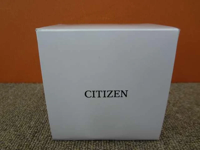CITIZEN Armbanduhr AT2576-68E