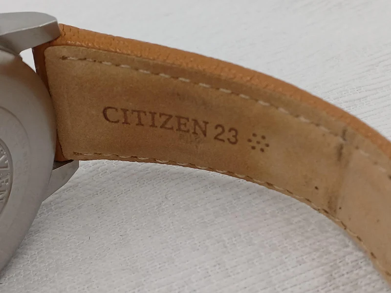 CITIZEN PROMASTER E670-S035899