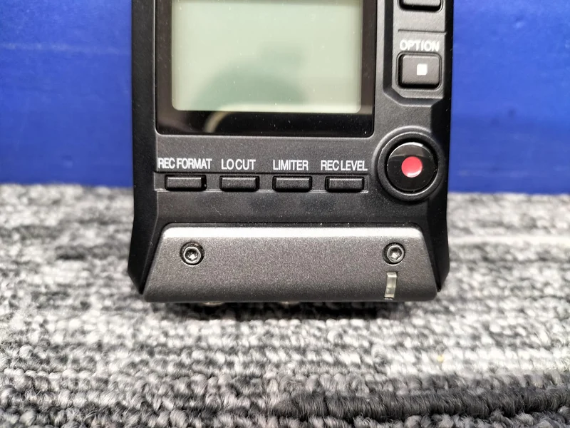 ZOOM [Scratches and Dirt] Field Recorder F1-LP