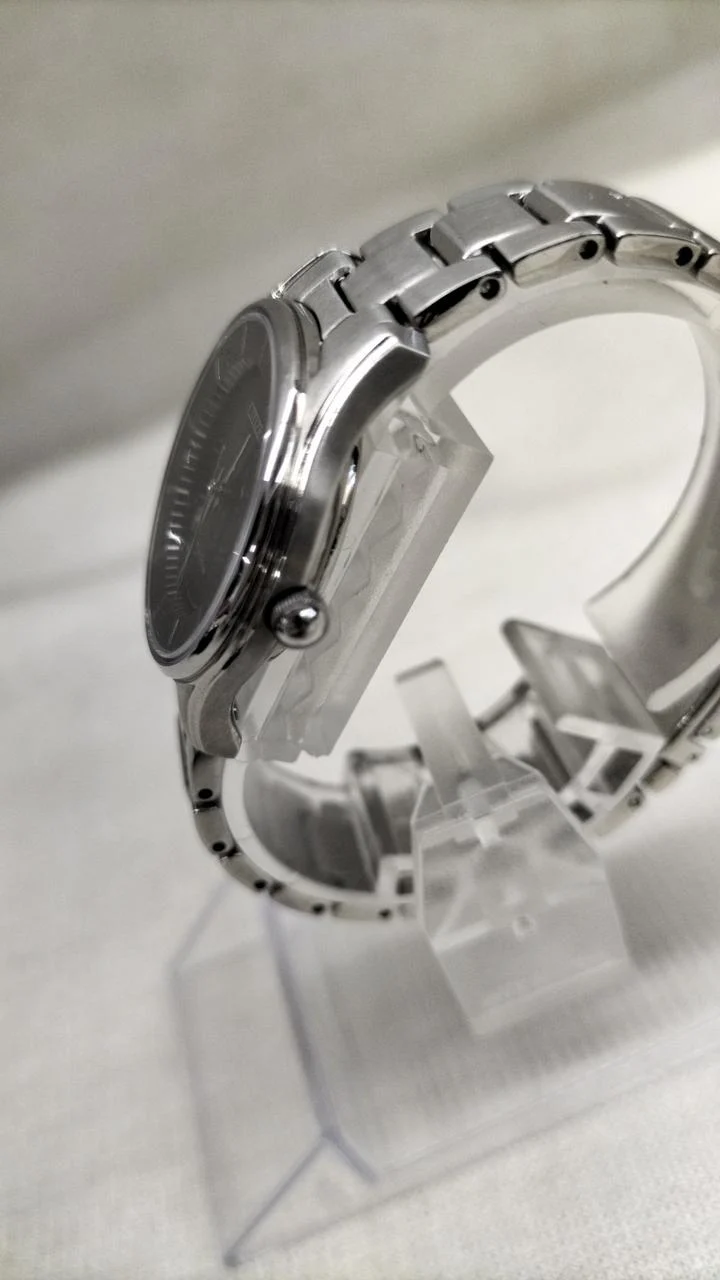 CITIZEN Eco-Drive Armbanduhr E031-S103746