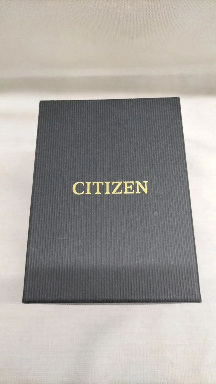 CITIZEN Eco-Drive Armbanduhr E031-S103746