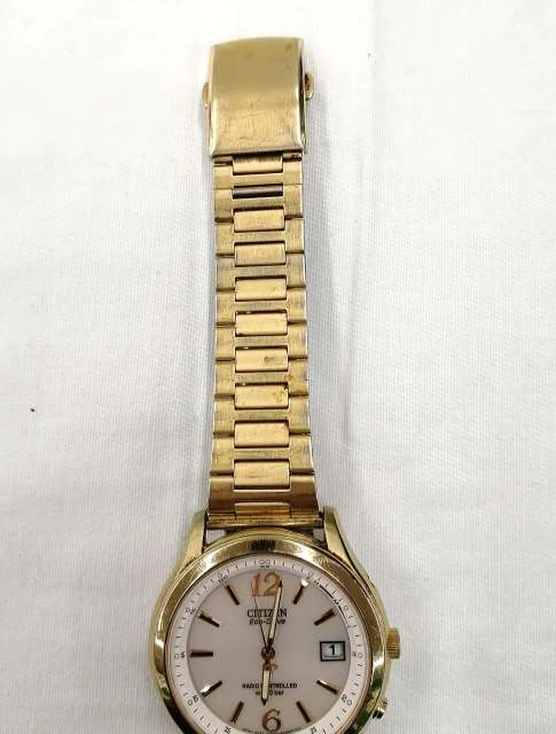 CITIZEN Automatik-Armbanduhr GN4WS
