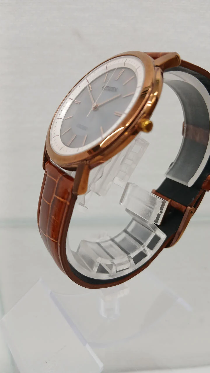 CITIZEN EXCEED Armbanduhr (Eco-Drive) G530-T019765