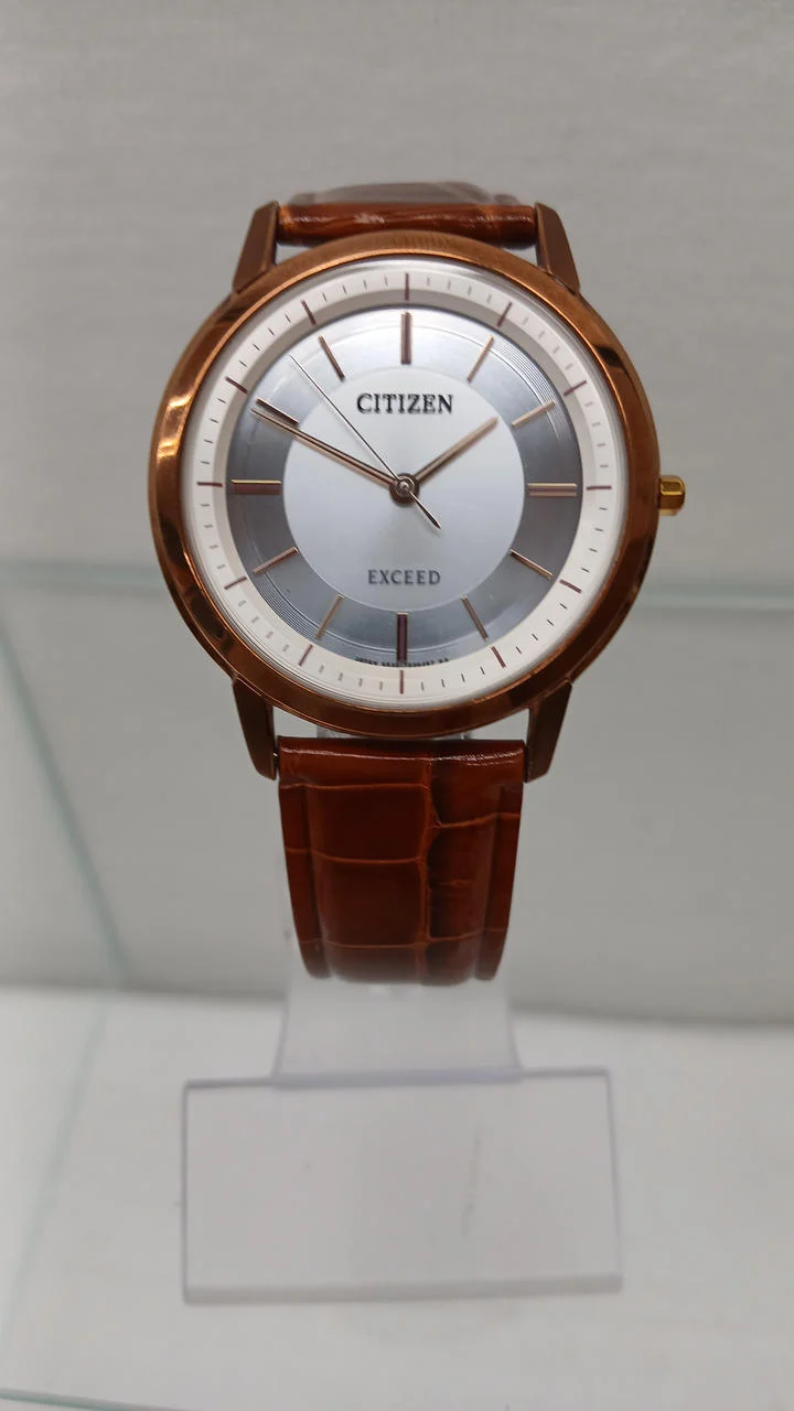 CITIZEN EXCEED Armbanduhr (Eco-Drive) G530-T019765