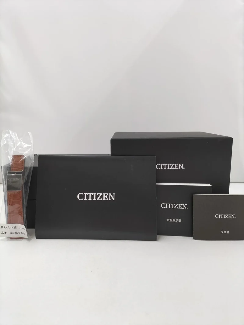 CITIZEN Analoge Armbanduhr F900-T024122