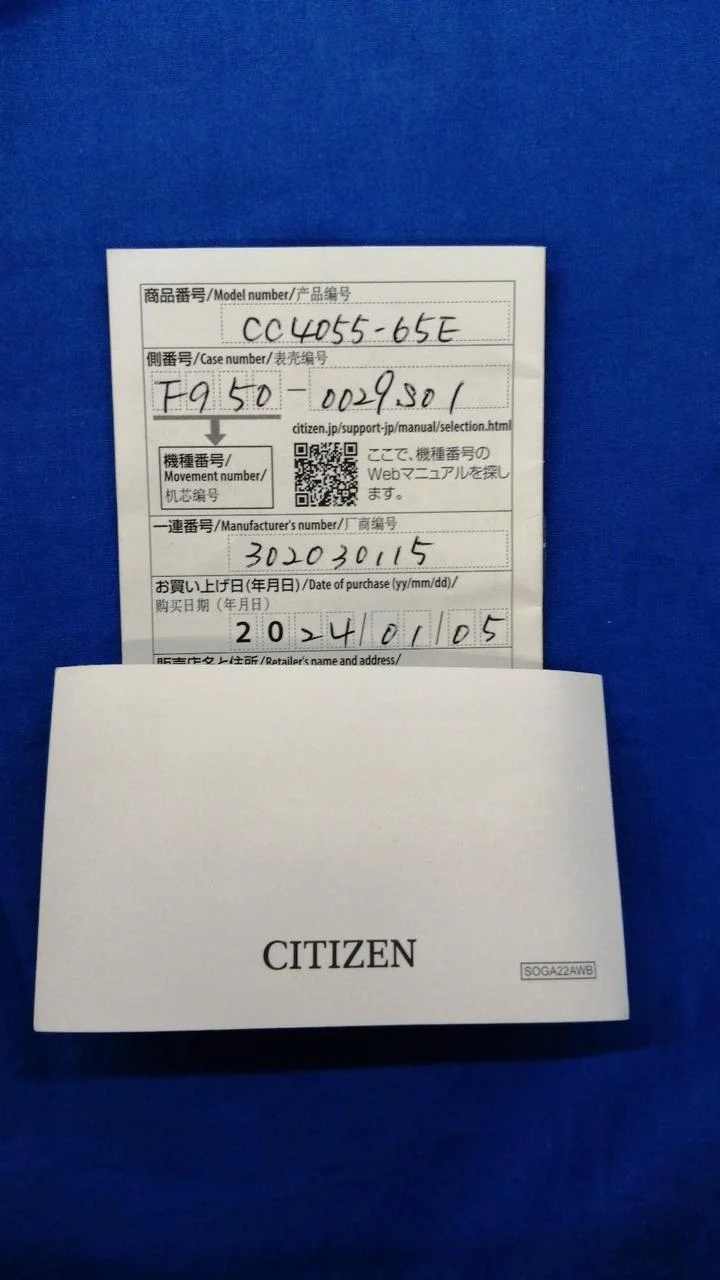 CITIZEN Uhr F950-0029S01