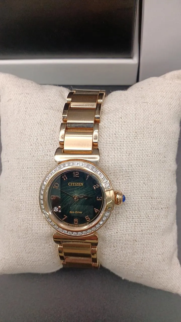CITIZEN Eco-Drive (Damen) EM1123-62X