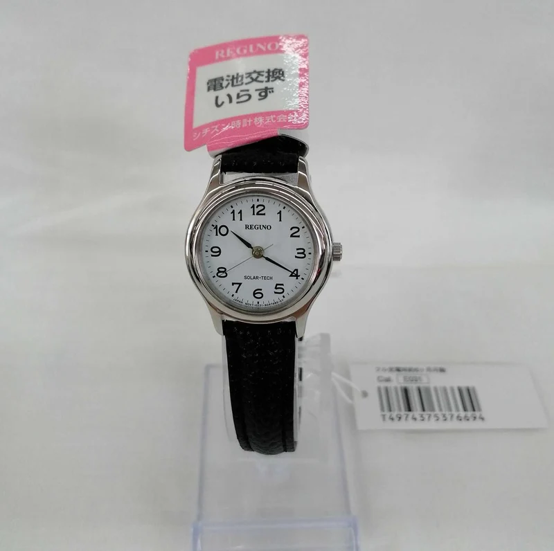 CITIZEN REGUNO E031-T017207
