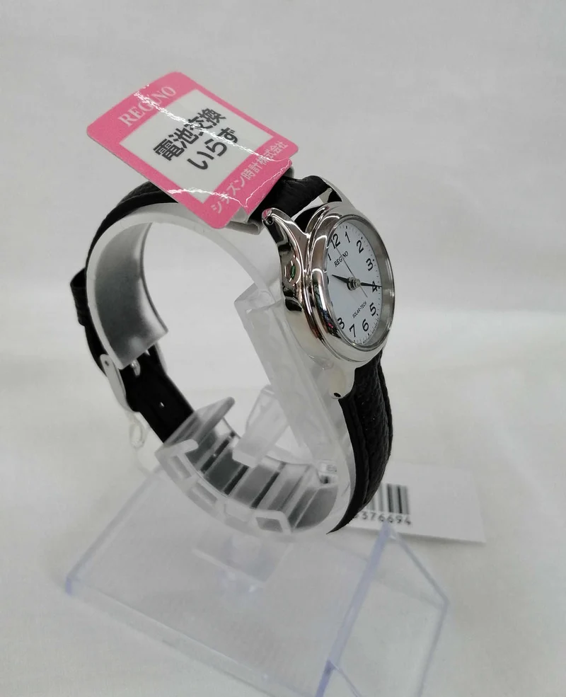 CITIZEN REGUNO E031-T017207
