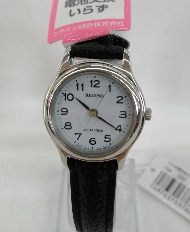 CITIZEN REGUNO E031-T017207