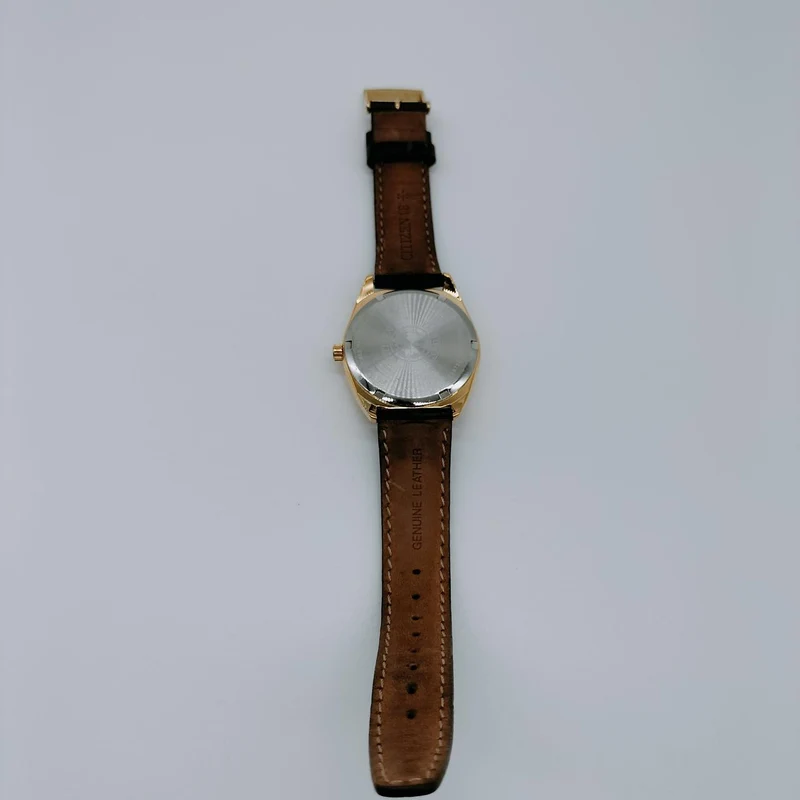 CITIZEN Armbanduhr Solar E111-R006720