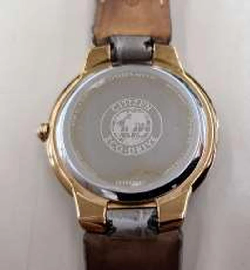 CITIZEN Eco-Drive Lünette Diamant E031-S080509