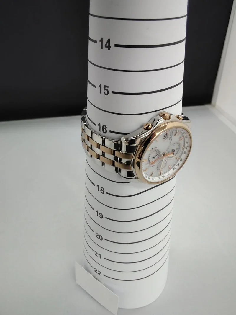 CITIZEN Armbanduhr E820-S096081