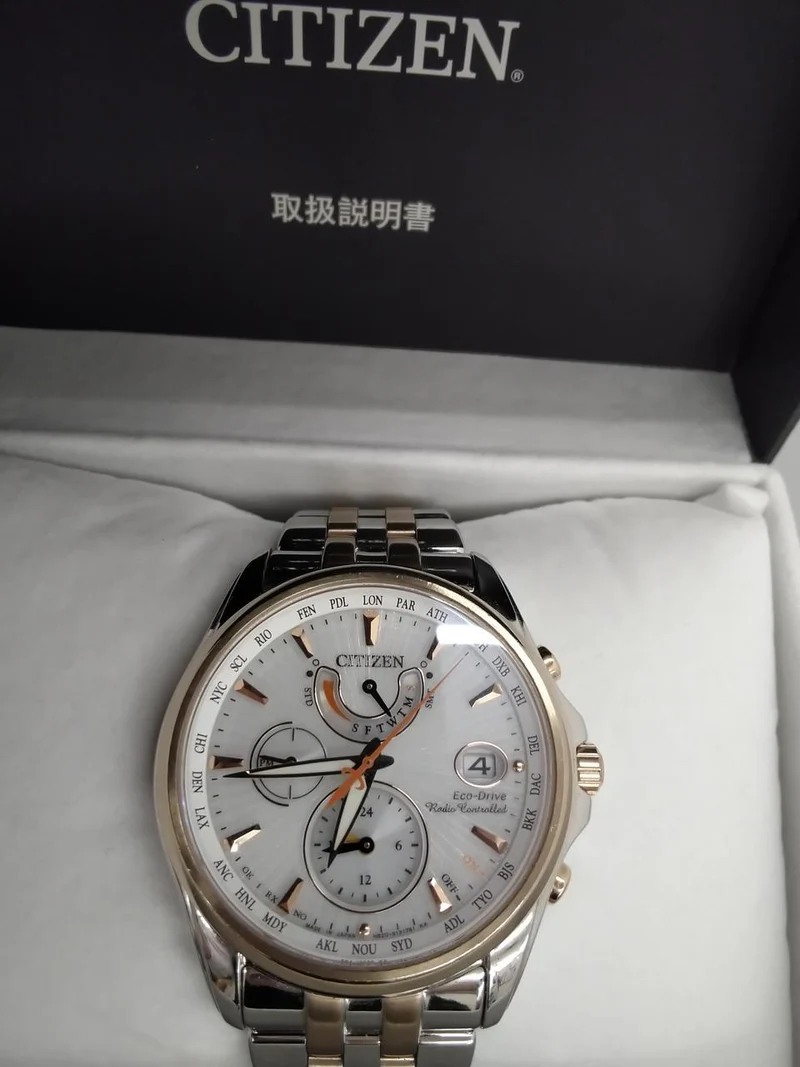 CITIZEN Armbanduhr E820-S096081