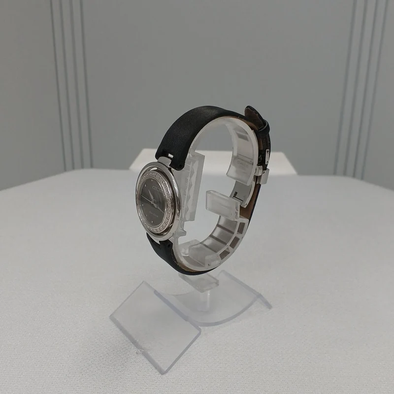 CITIZEN Eco-Drive Uhr E03-S124271