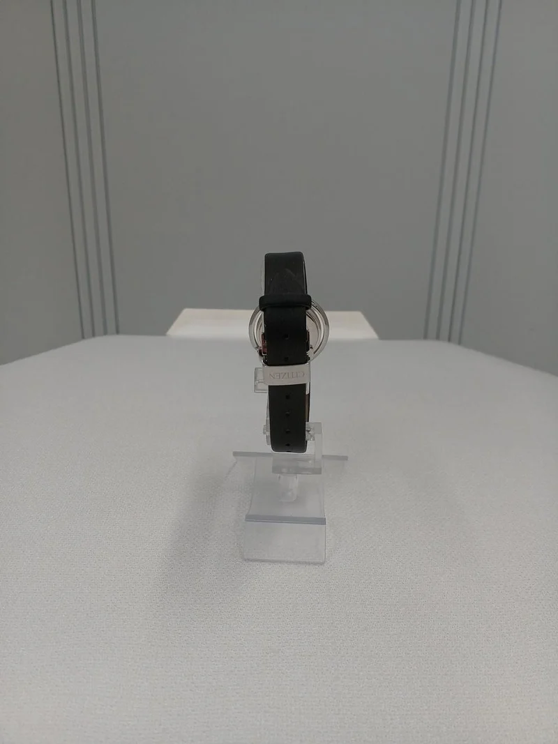 CITIZEN Eco-Drive Uhr E03-S124271