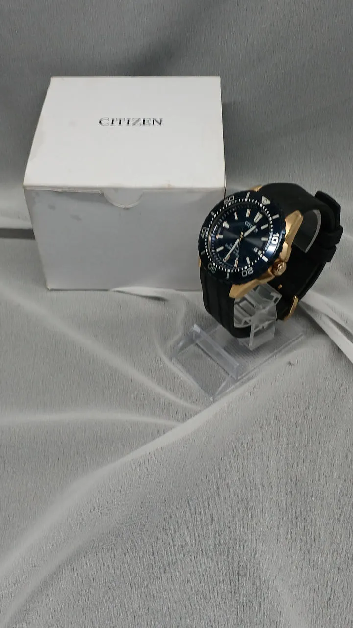 CITIZEN Solar-Armbanduhr E168-003FR08
