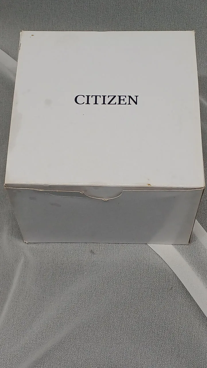 CITIZEN Solar-Armbanduhr E168-003FR08