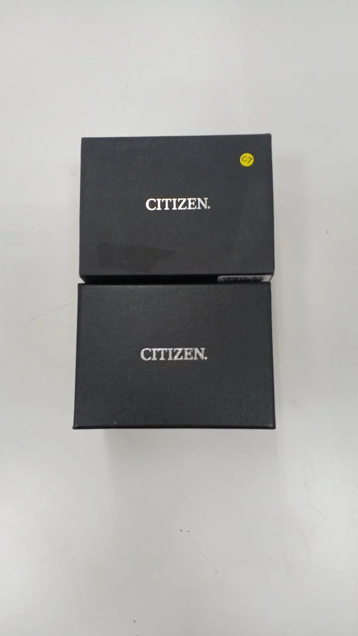 CITIZEN Armbanduhr E660-S122244
