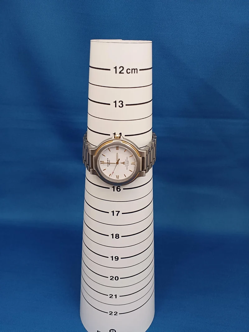 SEIKO Quarz-Armbanduhr 5P31-6250
