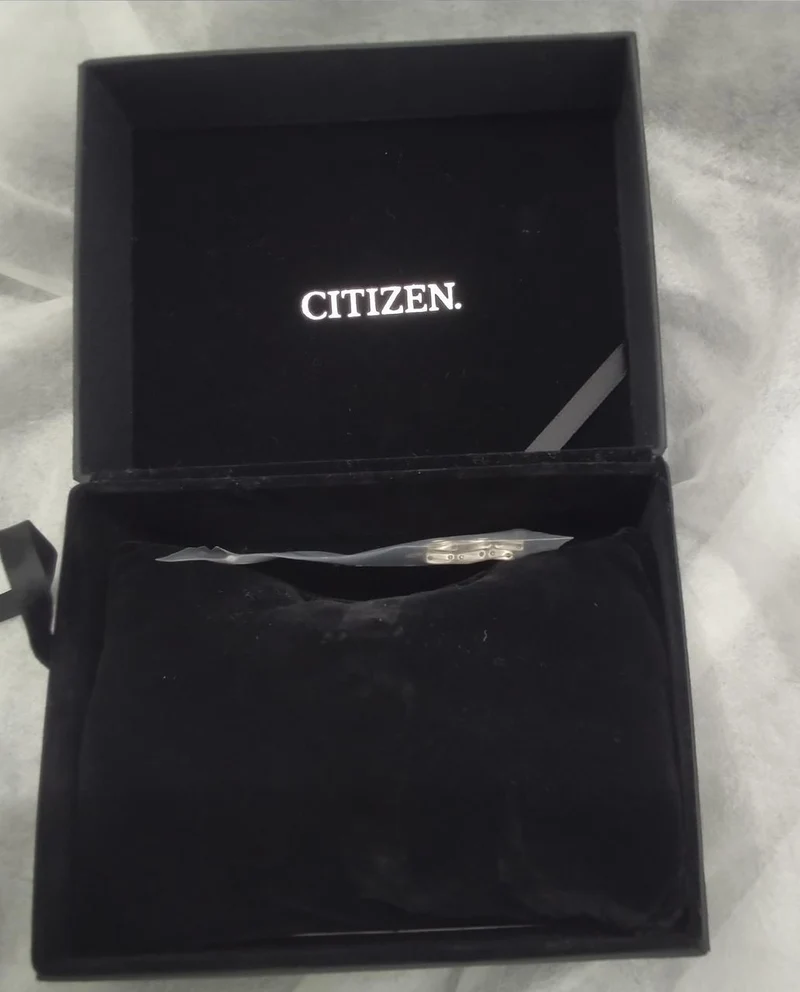 CITIZEN Solar-Funkarmbanduhr H149-T023533