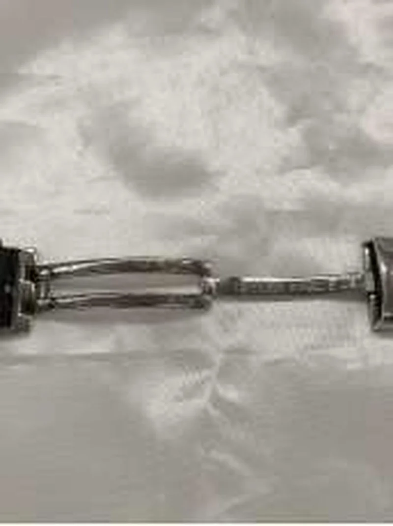 SEIKO Quarz-Armbanduhr SBGF014