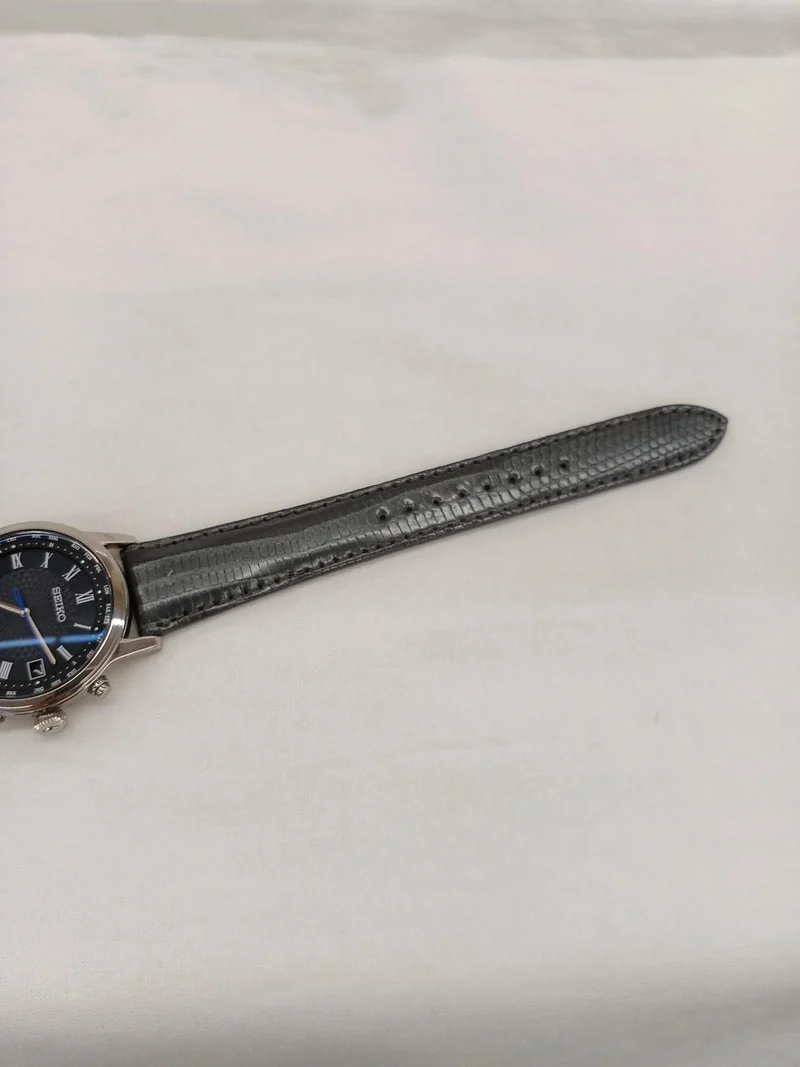 SEIKO Brightz SAGZ101