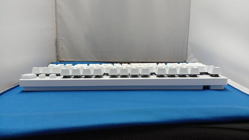 RAZER Gaming-Tastatur RZ03-04980100-R3J1