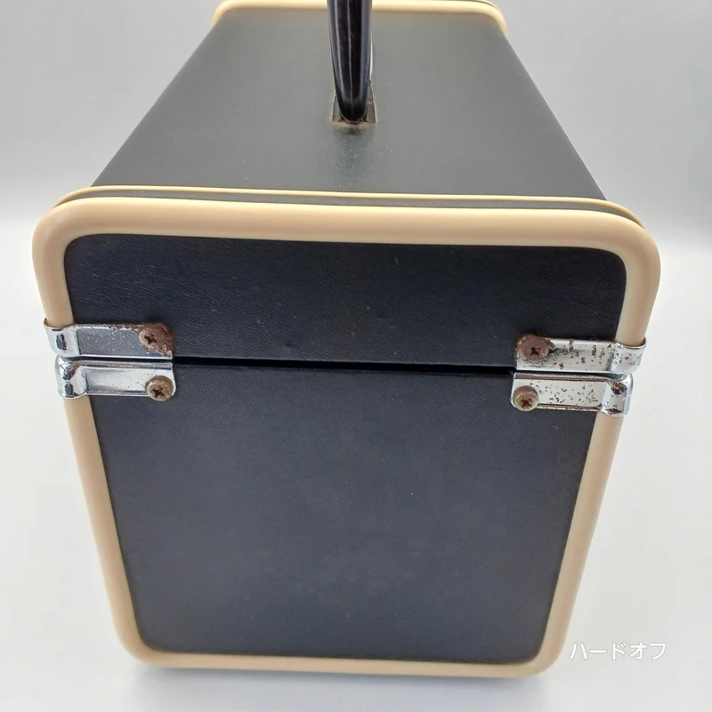 TECHNICS Dynamisches Mikrofon RP-V900