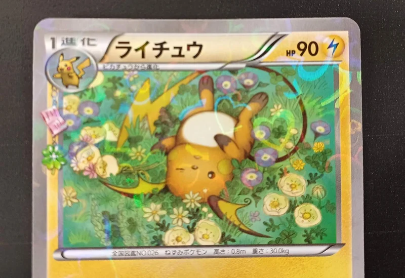 BANDAI Pokémon-Karte Raichu