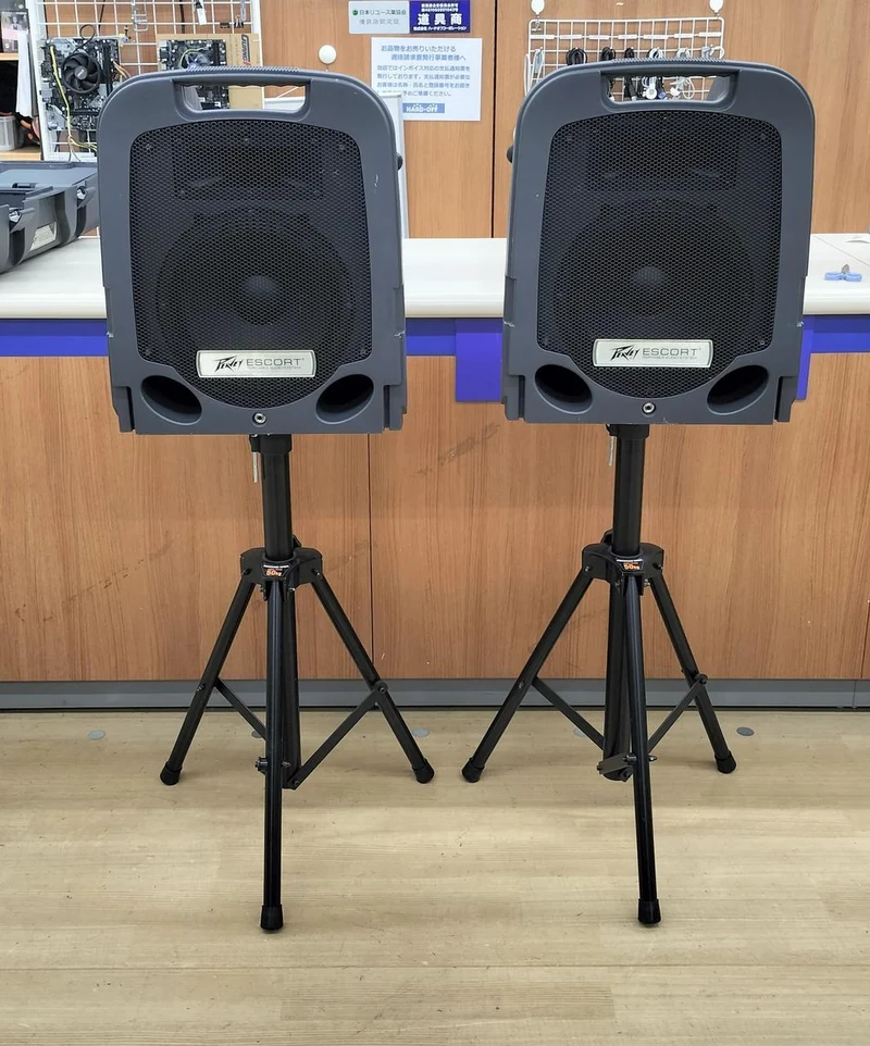 PEAVEY Lautsprechersystem ESCORT3000