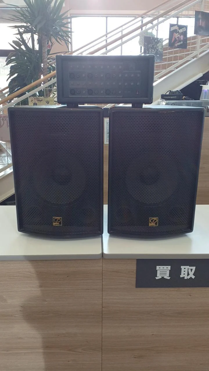 [SCHROTT] Classic Pro Simple PA-System PA12/6