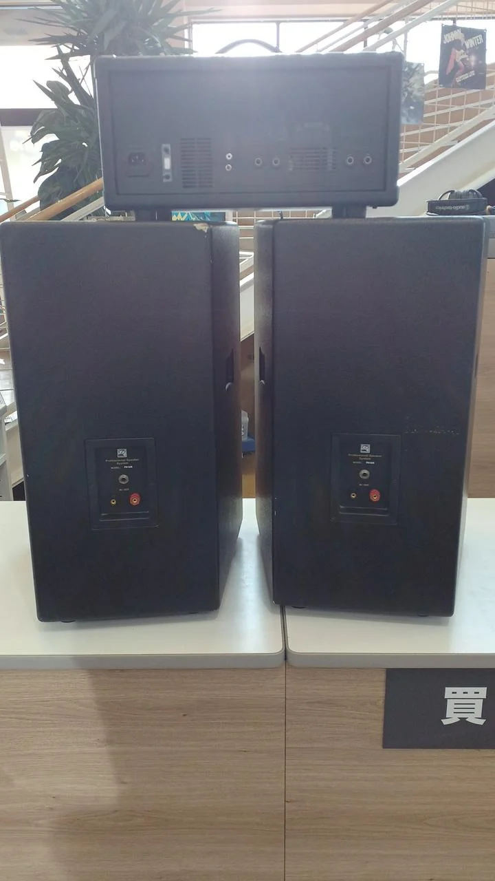 [SCHROTT] Classic Pro Simple PA-System PA12/6
