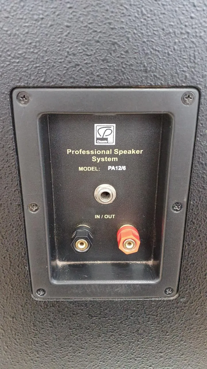 [SCHROTT] Classic Pro Simple PA-System PA12/6