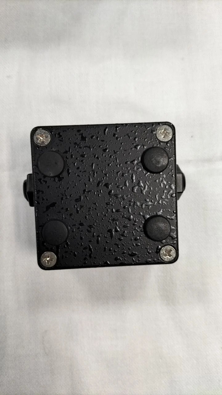 PROVIDENCE Pufferverstärker VITALIZER WV/VZW-1