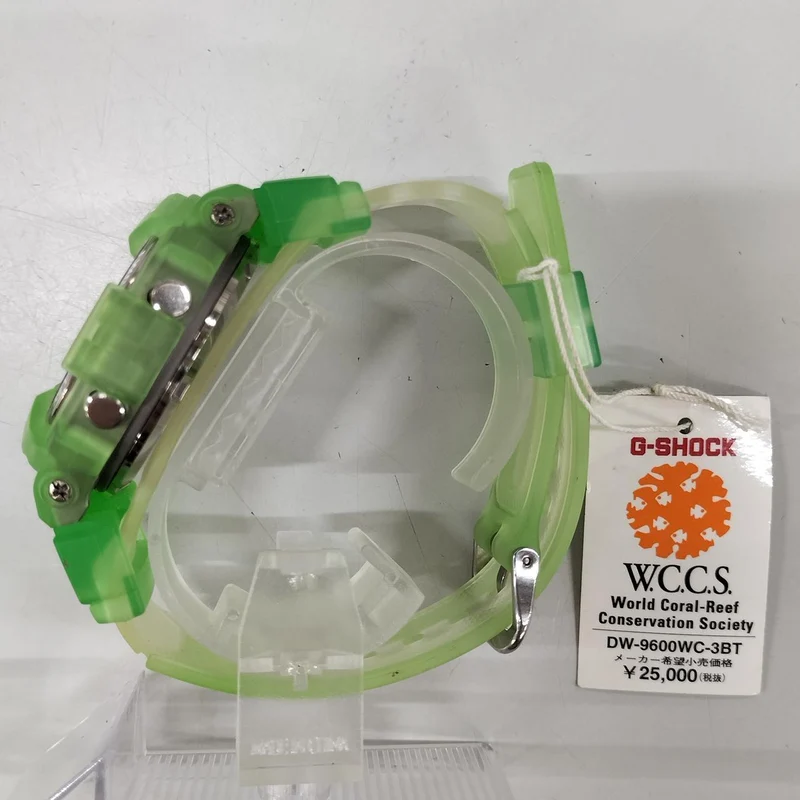 CASIO G-SHOCK DW-9600WC