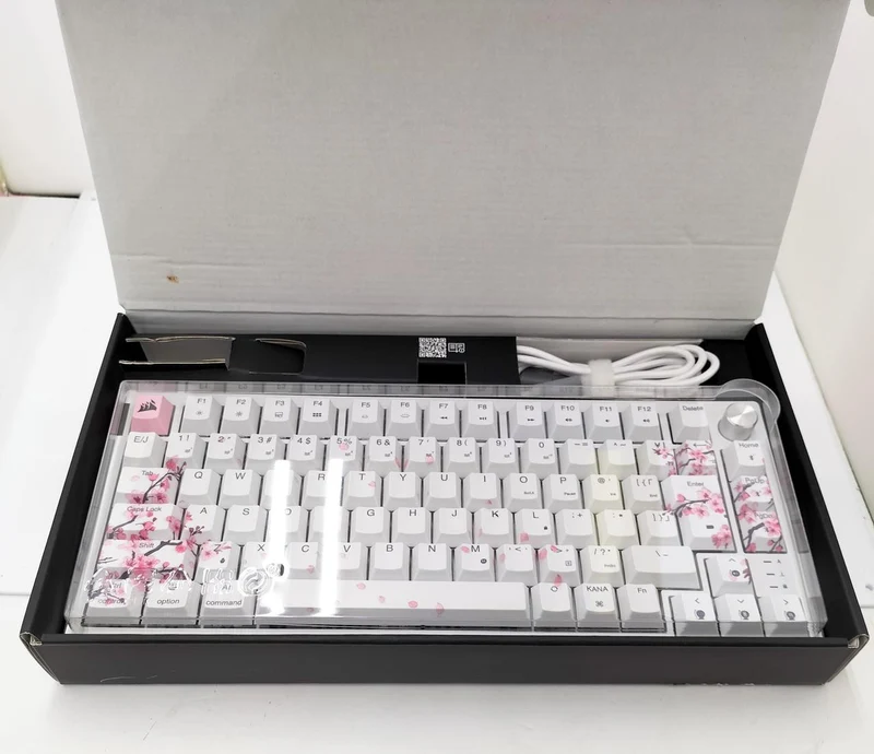 CORSAIR Kabellose Tastatur K65 PLUS (RGP0156)